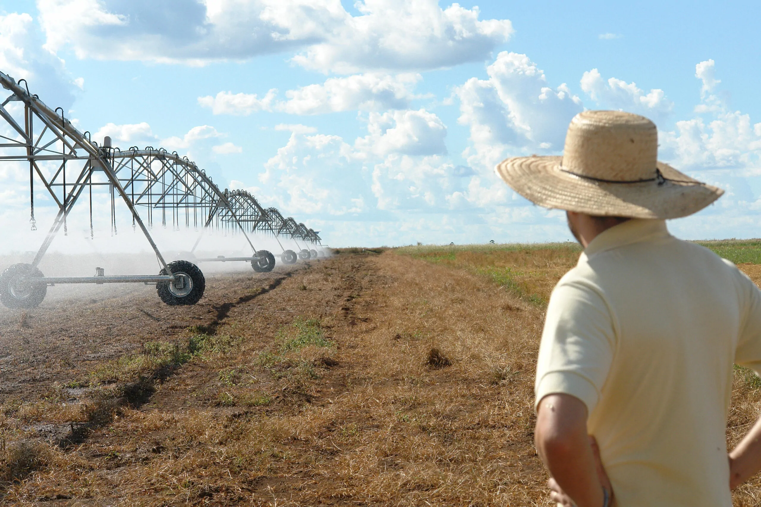 Uso de pivôs centrais para irrigação cresce no Brasil. Confira o levantamento da Embrapa